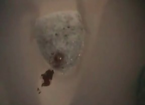 poop eaters anonymous videos