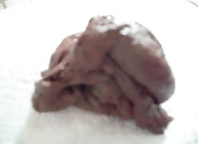 poop in the face videos