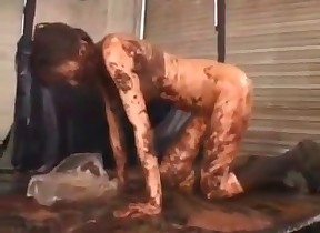 canine vomiting videos
